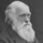 Darwin and the Discovery of Evolution